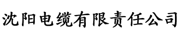 苹果视频app成人电缆厂logo